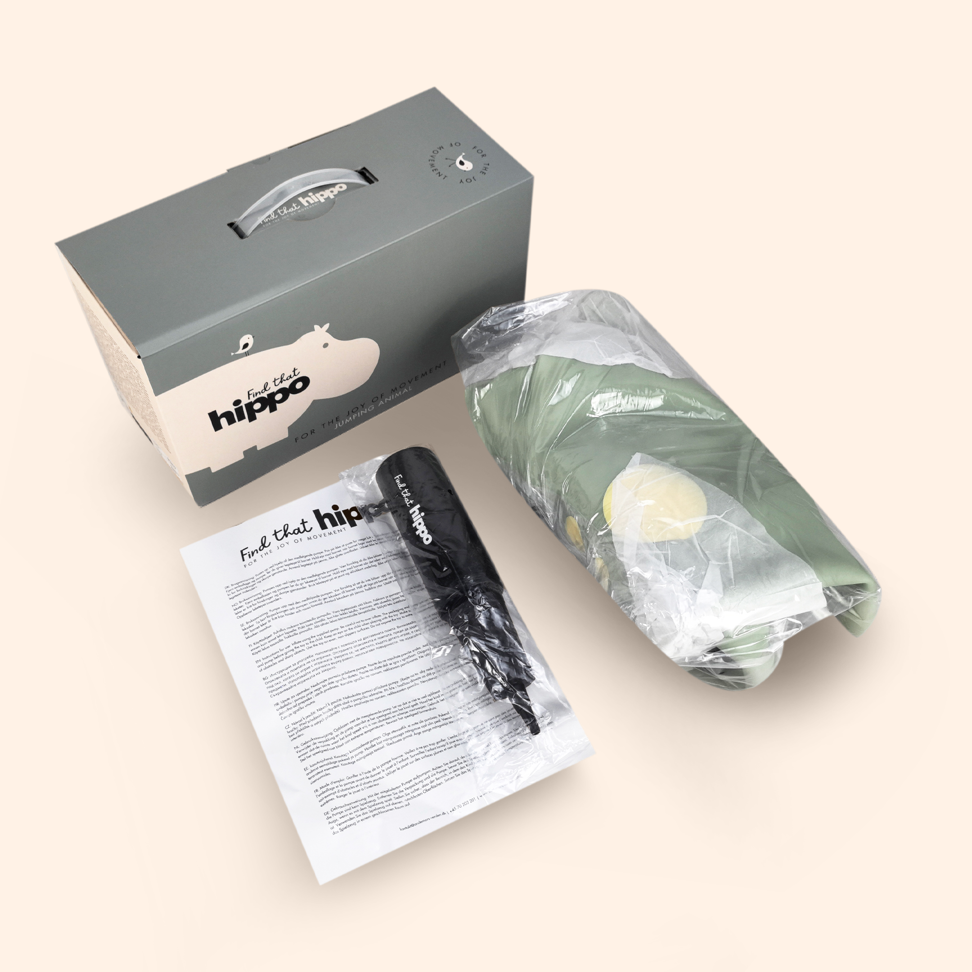 Product bundle with Dexter dinosaur bouncing toy, included pump, and box – Find That Hippo