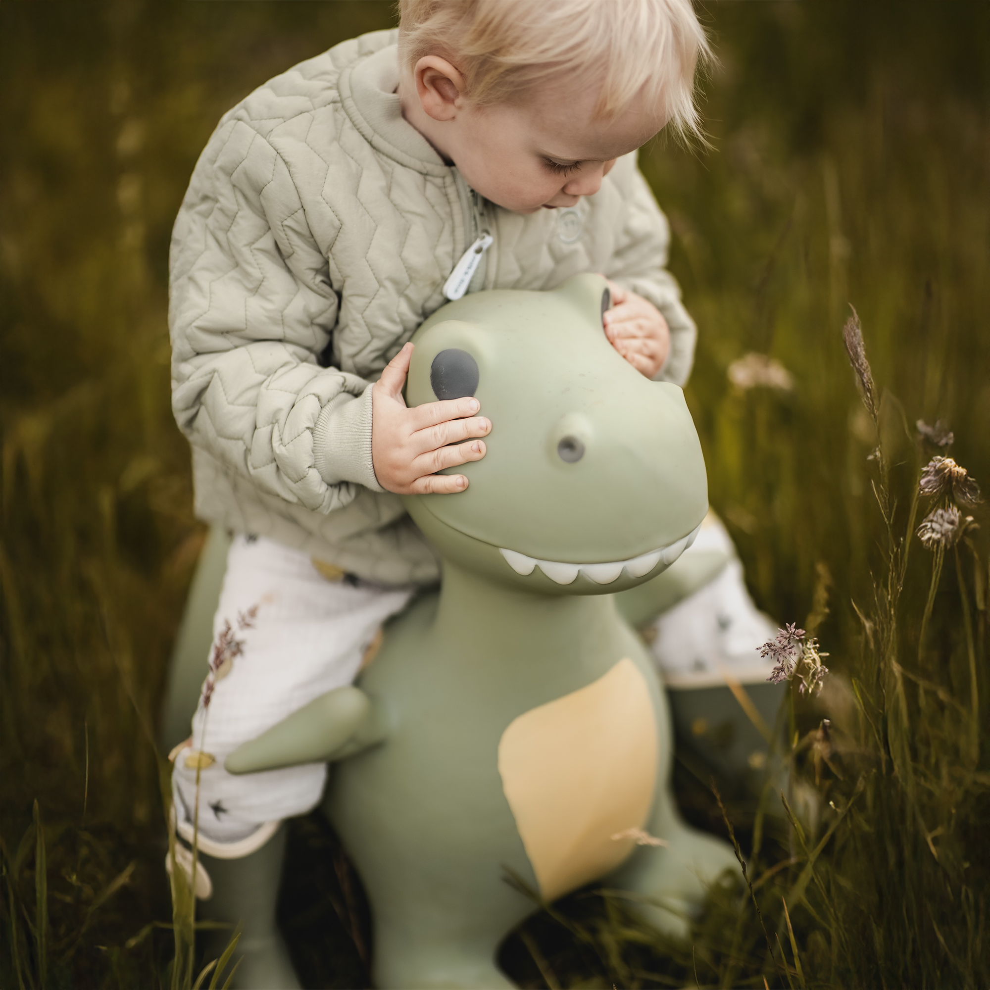 Child sitting on a sage green bouncing dinosaur toy Dexter with serious expression – Find That Hippo
