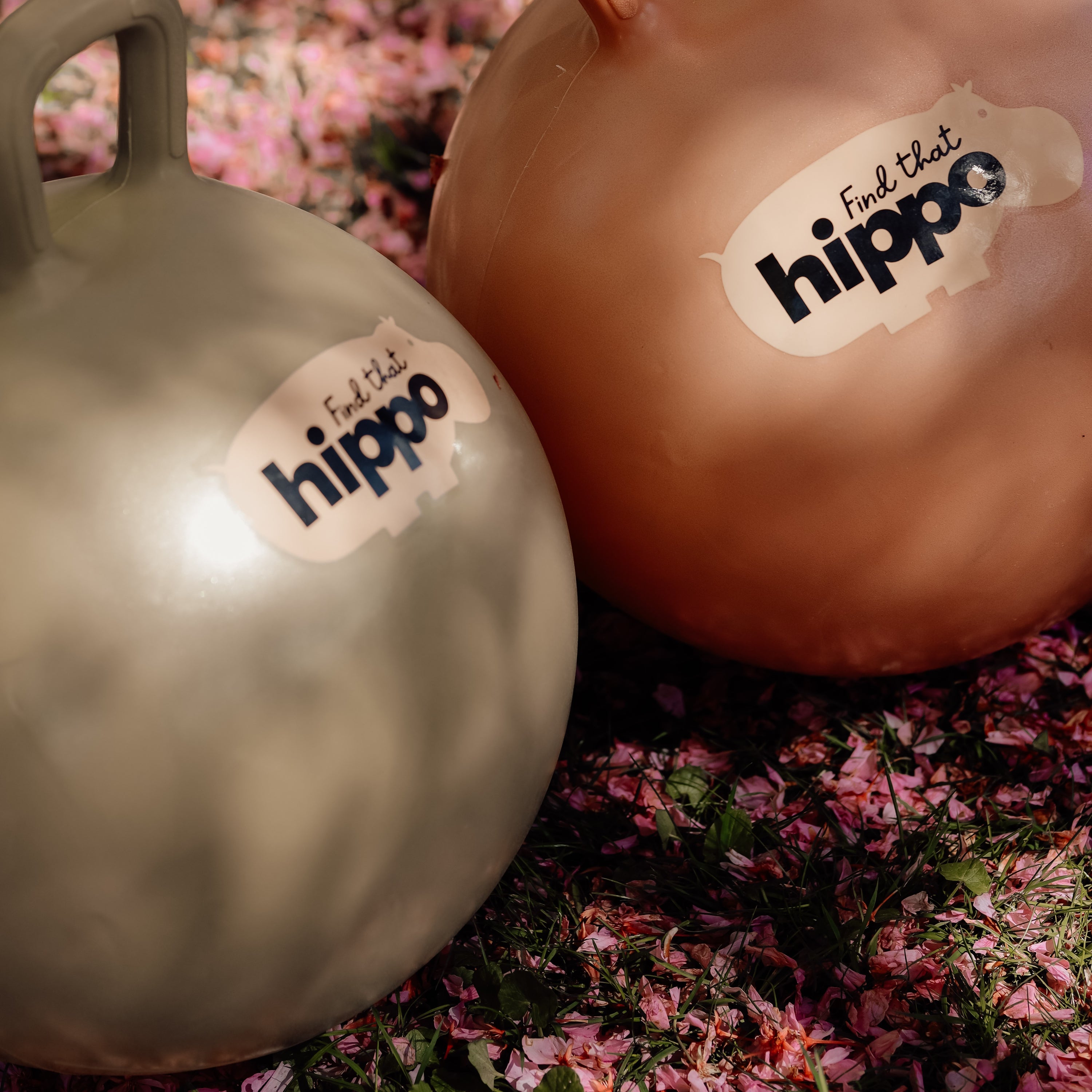 Close-up of bouncy balls showing logo and handle details – Find That Hippo