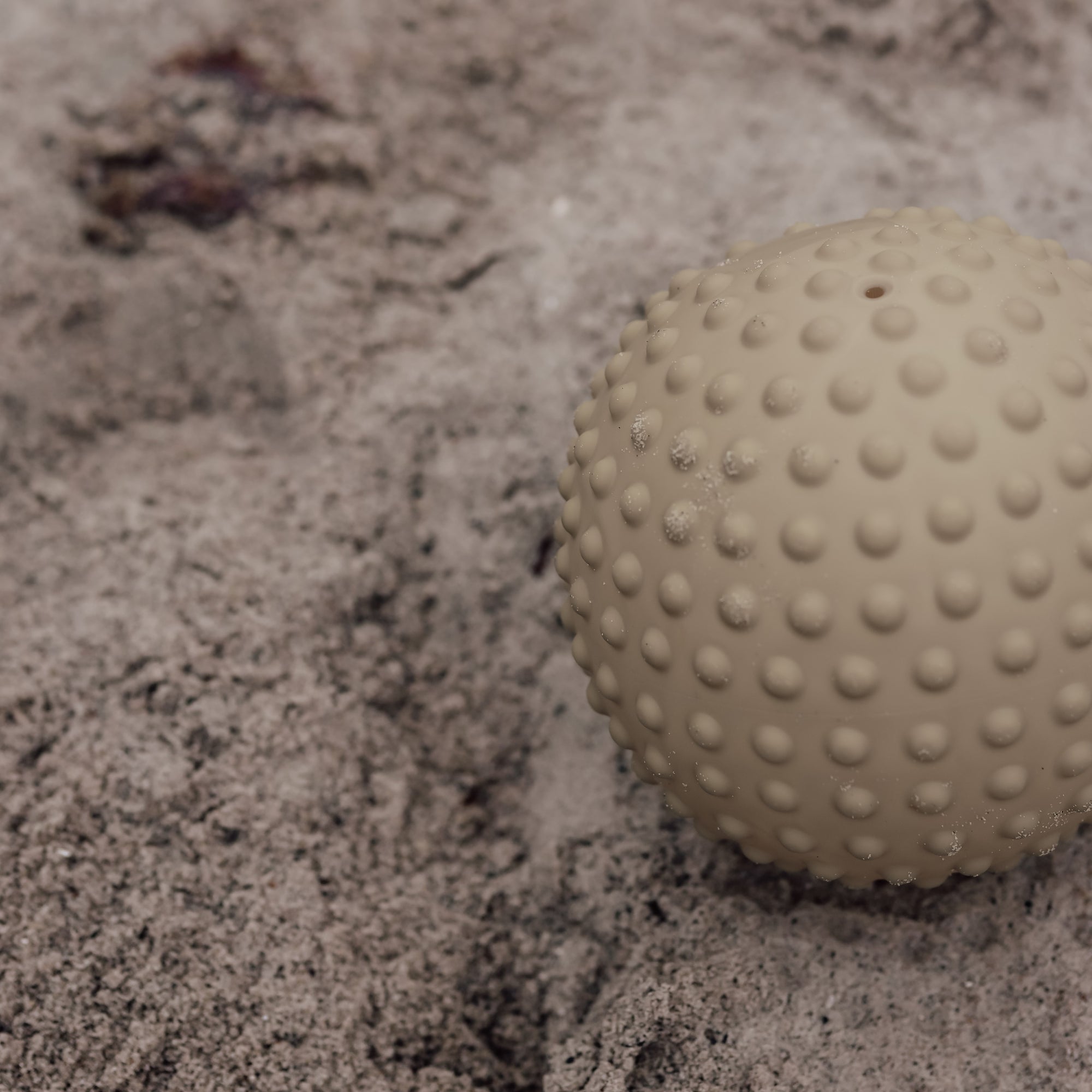 Large dusty green sensory ball lying on beach sand – Find That Hippo