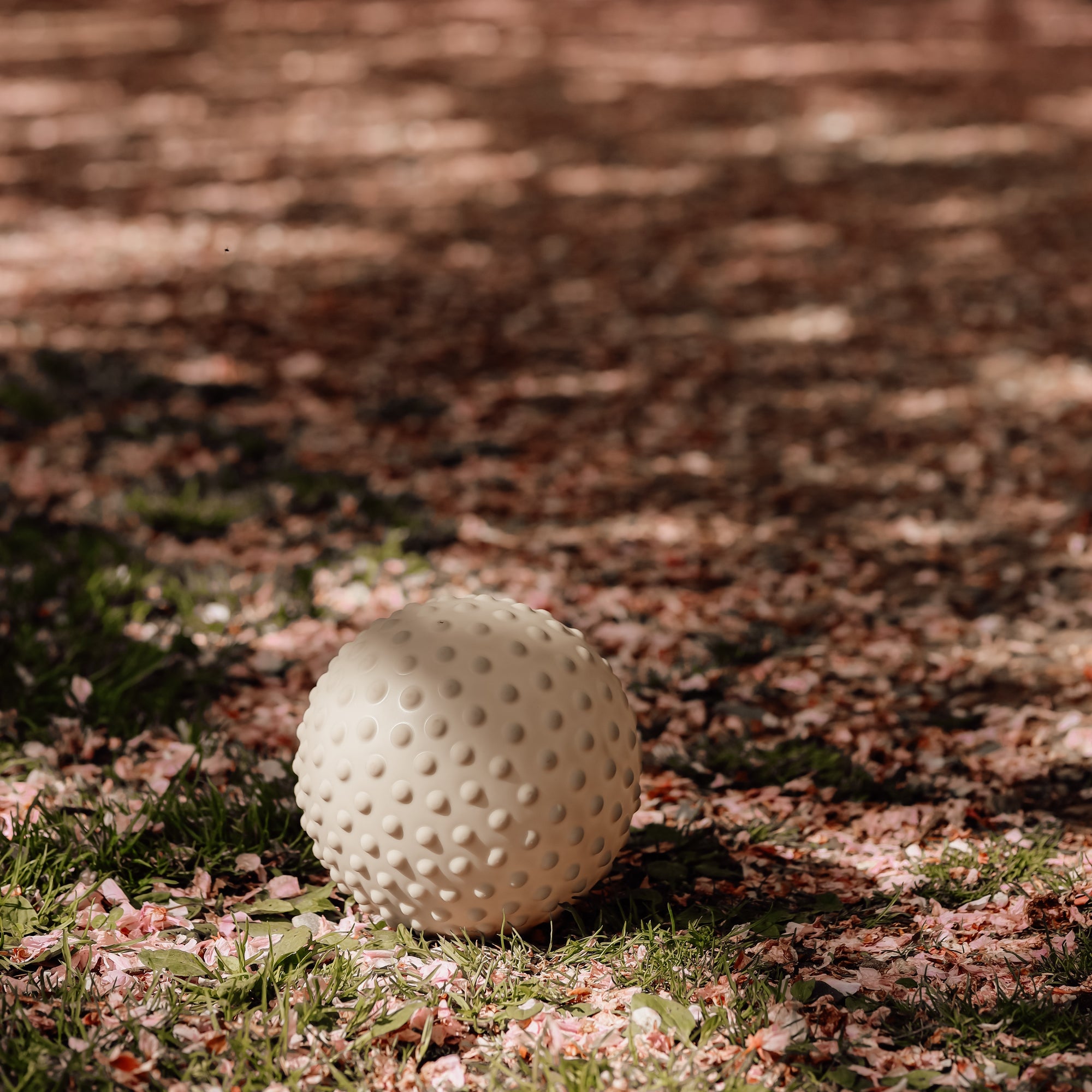 Dusty green sensory ball placed on forest floor surrounded by dry leaves – Find That Hippo