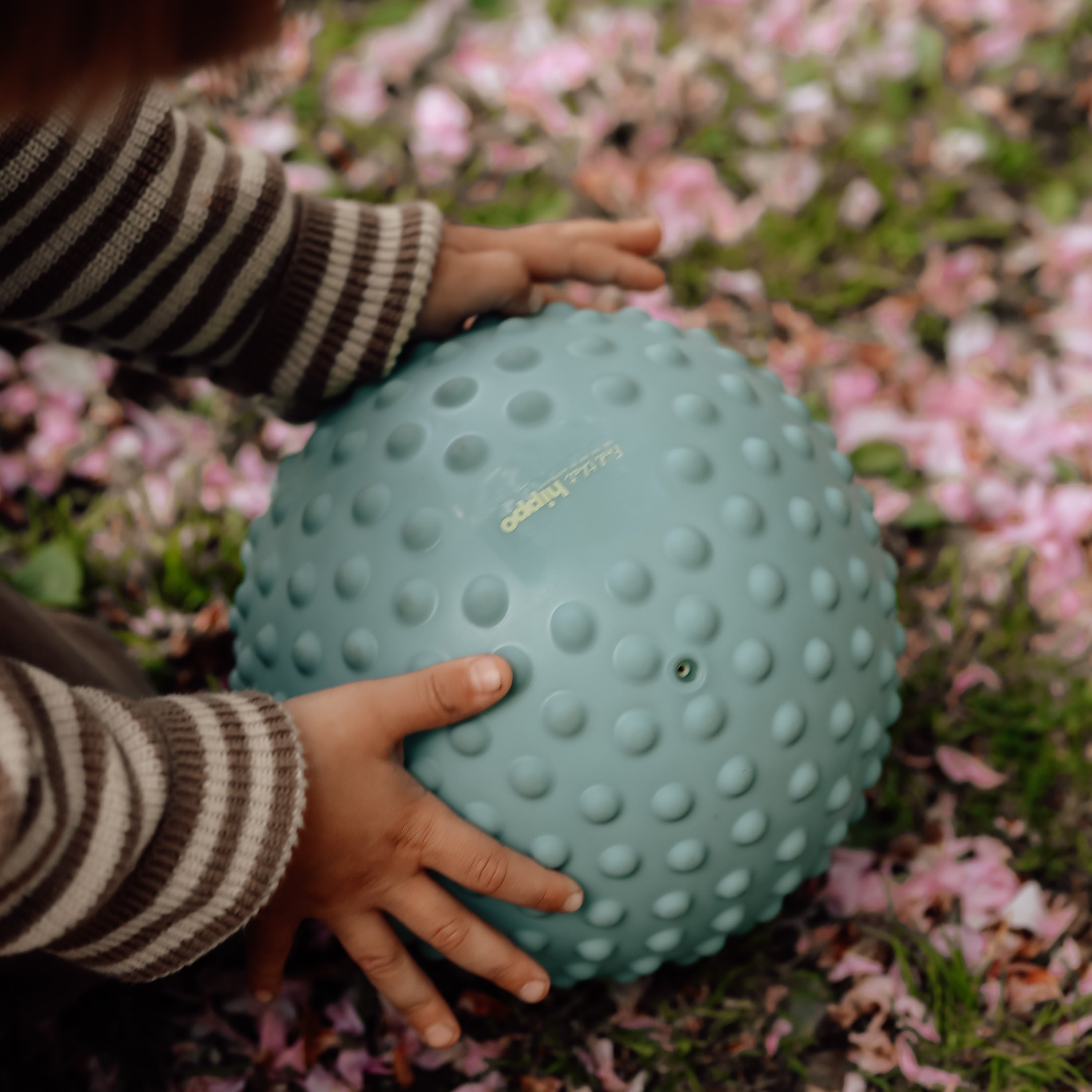 Close-up of a large blue sensory ball with knobs resting on grass – Find That Hippo