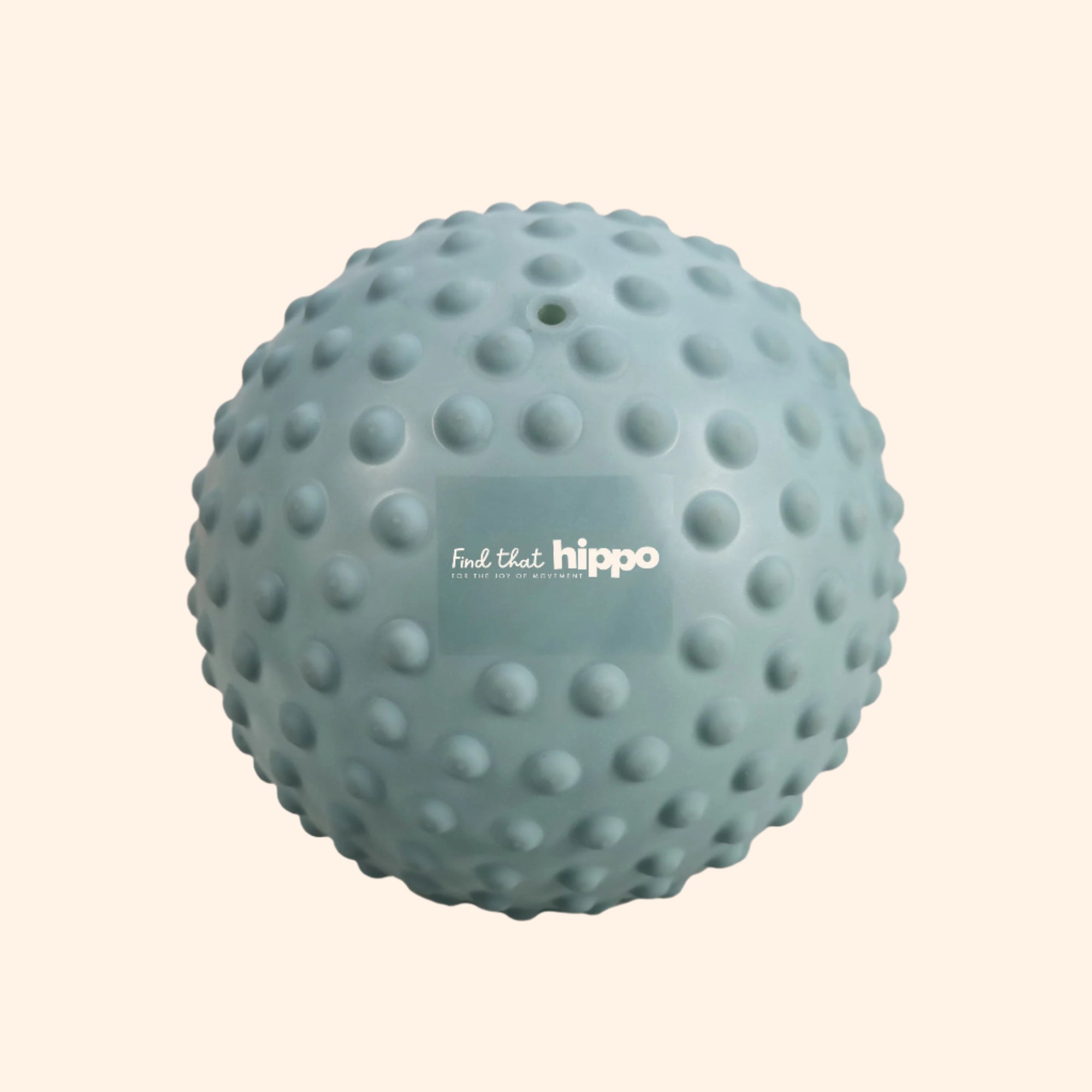 Blue sensory ball on a white background - find that hippo