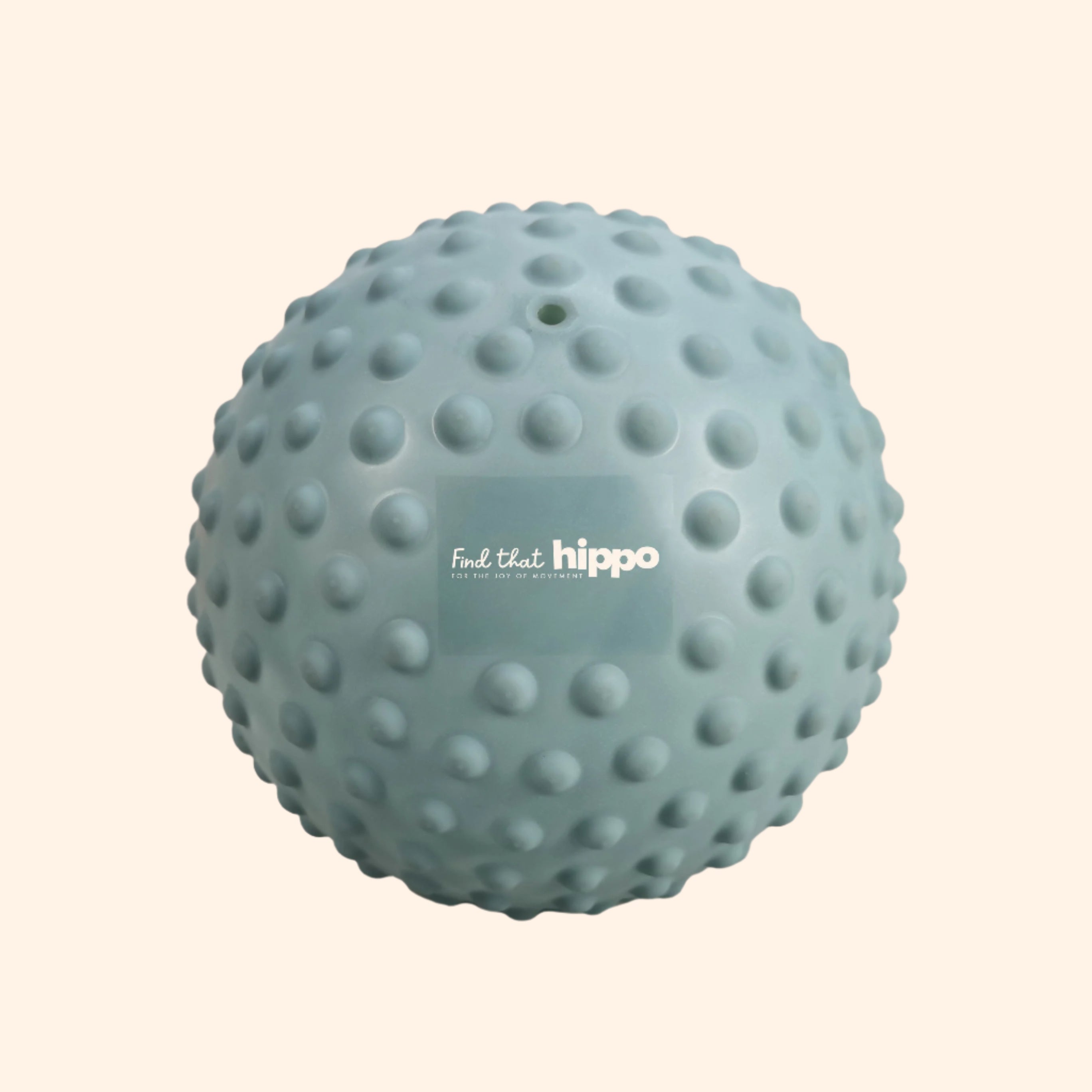 Blue sensory ball on a white background - find that hippo