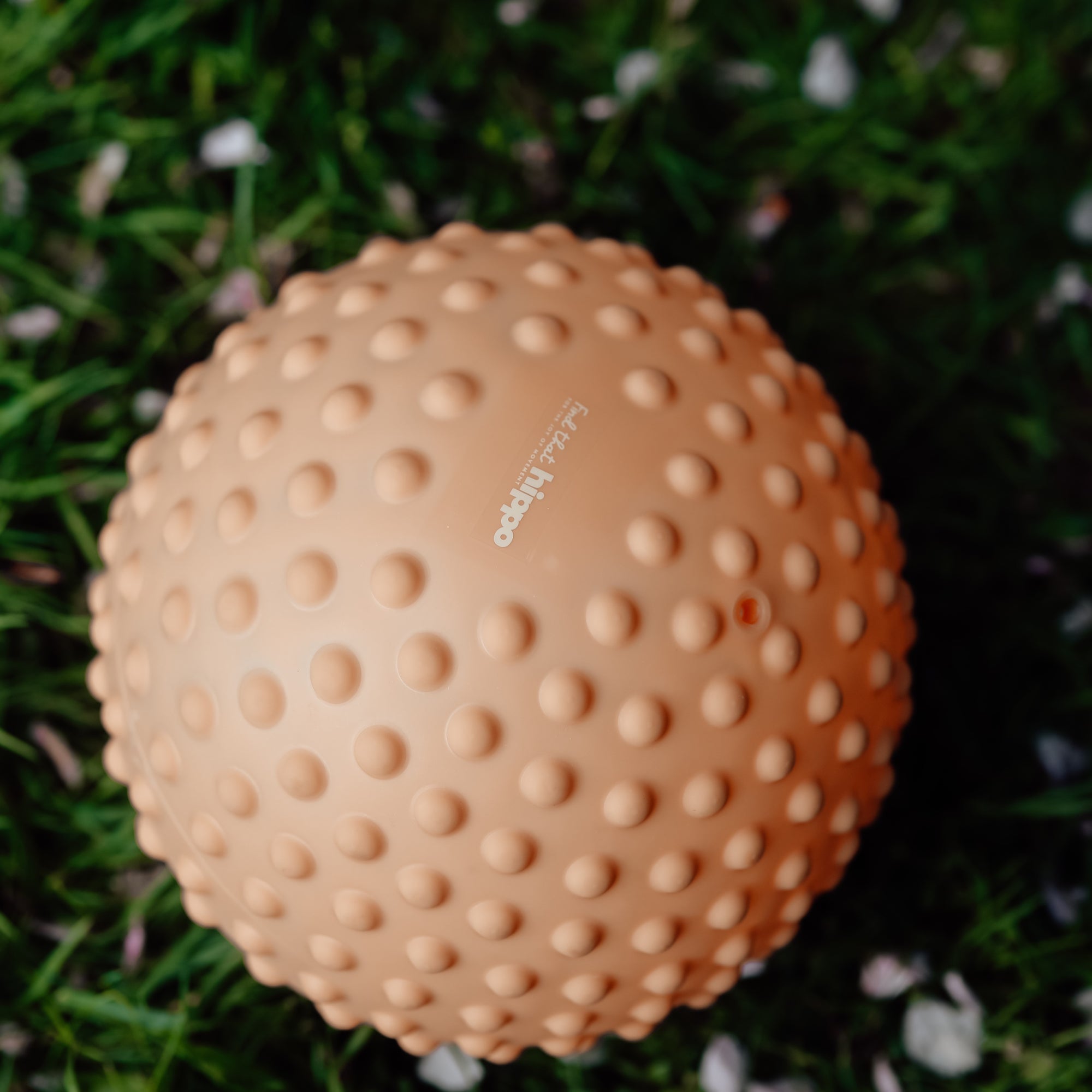 Close-up of a dusty pink large sensory ball with knobs resting on grass – Find That Hippo